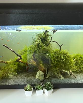 ACQUARIO 250LT