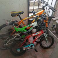 bicicletta 