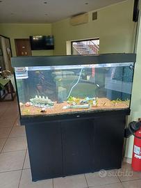 ACQUARIO JUWEL
