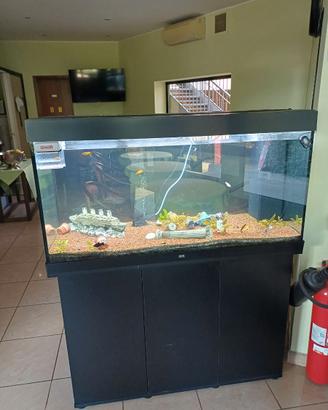 ACQUARIO JUWEL
