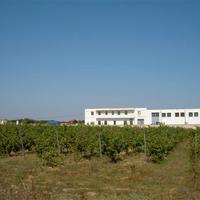 Appartamento indipendente