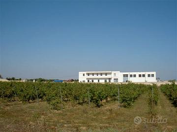 Appartamento indipendente