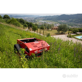 Eseguo lavori di giardinaggio e boschivi