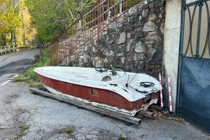 Barca con motore