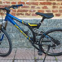 specialized fsr