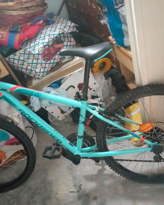 bicicletta bambino 