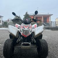 Quad AEON Cobra 50 (2017) - Omologato 2 Posti