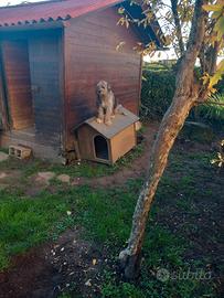 appartamento arredato Grado Pineta 