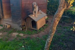 appartamento arredato Grado Pineta 