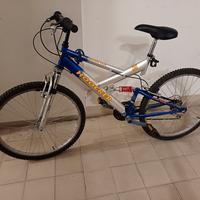 Bicicletta ruota da 26