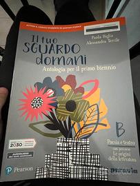 Libro antologia "Il tuo sguardo domani" B