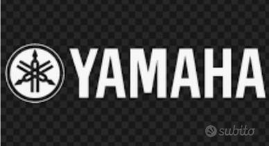 Yamaha YZF R1 - 2007