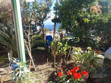 Terreno con comodo rurale