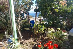 Terreno con comodo rurale