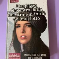 Il ragazzo che entró dalla finestra e si infiló ne