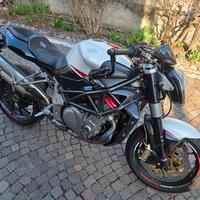 MV Agusta Brutale 910 R