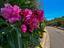 Immagine 29