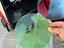 Immagine 4