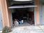 Immagine 10
