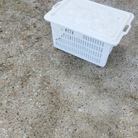 Grande cesta per il pane