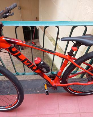 MTB  DONNA