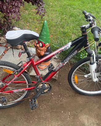 Bici muscolare genesis