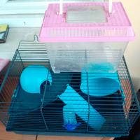 Gabbia completa criceto