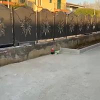 Recinzione casa