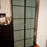 Armadio Pax ikea doppio 100x38x236