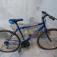 bicicletta mountain bike 