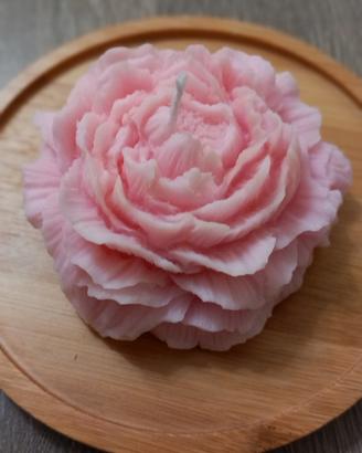 Luce di Peonia — la candela che sboccia nei tuoi m