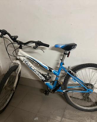 Bicicletta