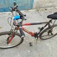 Mountain bike