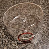 Vasetto terrarium vetro
