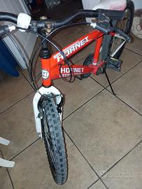 Bici Hornet 20