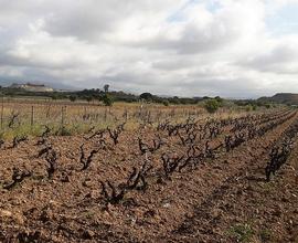 Is Ammostus, Terreno regolare fronte strada