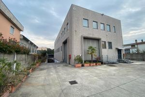 Capannone con uffici e magazzino