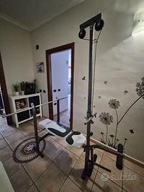 Panca palestra completa multifunzione Bench 560
