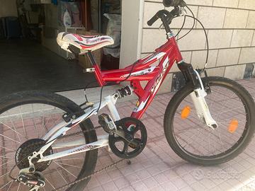Bicicletta Vicini bambino
