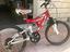Immagine 1