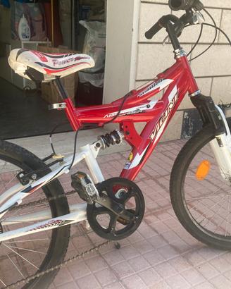 Bicicletta Vicini bambino