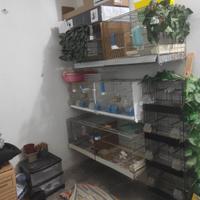 Gabbie cova tutte le misure 