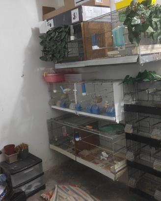 Gabbie cova tutte le misure 