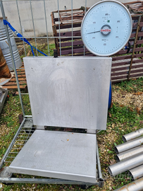 Bilancia a muro 300kg Omega