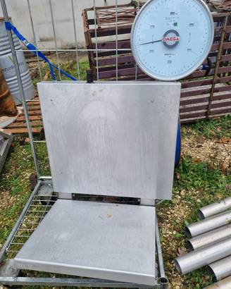 Bilancia a muro 300kg Omega