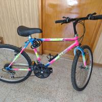 Mountain bike