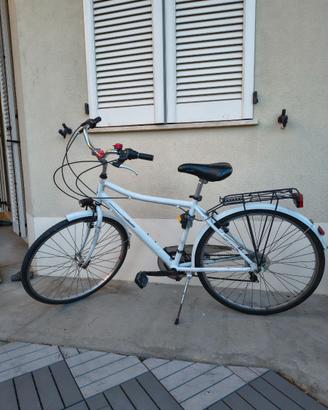 Bici Raleigh da città in Alluminio