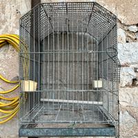 Piccola gabbia per pappagalli