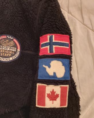 Napapijri orsetto 