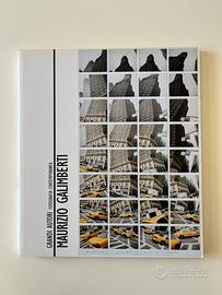 Maurizio Galimberti, Fiaf - fotografia